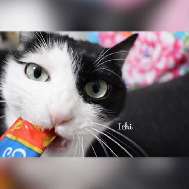 0a826540 3b77 4de2 be8f 6ebe9c7d7afa