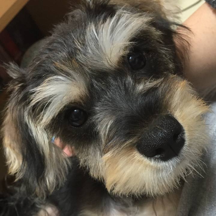 0a829268 4712 4d6d 94a5 0cf4e2073ce8