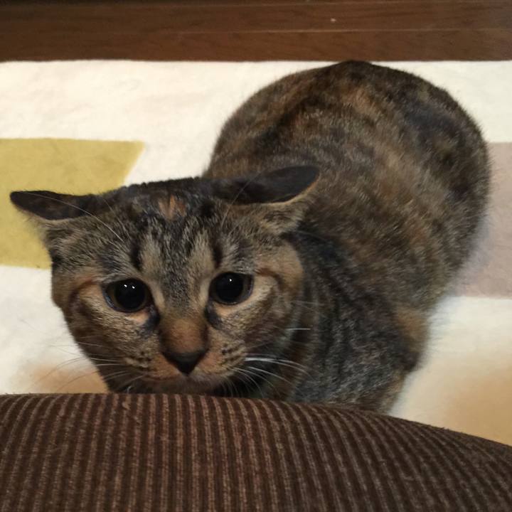 0a829df5 e618 46b0 9a14 df926286bde3