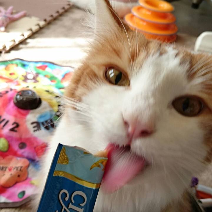 0a82df36 82cc 4cc6 8f9d 3e2365ba8a63