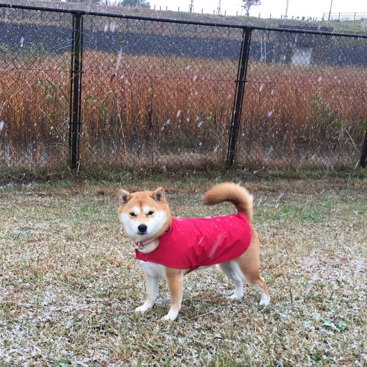 0a831b17 3791 494e b2f4 fbf19da3d017