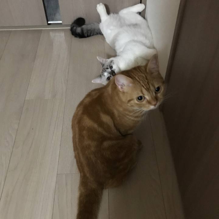 0a83c46b 17cf 492a 8eb8 530f221670d6