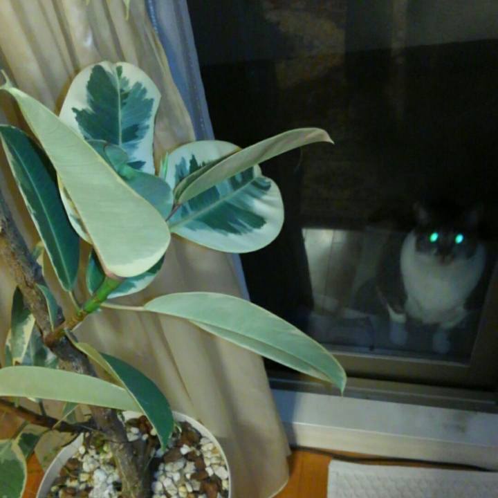 0a84276e b211 4b72 b8bc 3d896702b66a