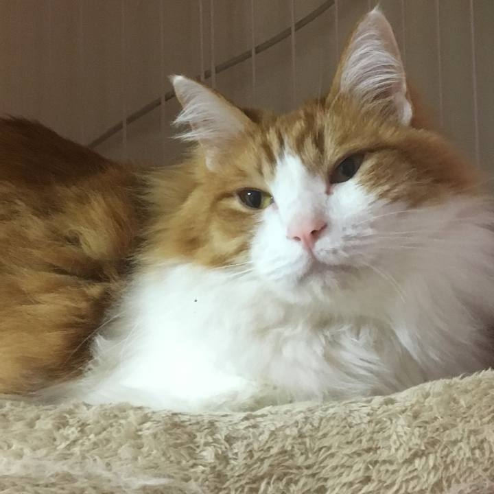 0a85424d 39ad 42c7 b33b e94cd0b2b744