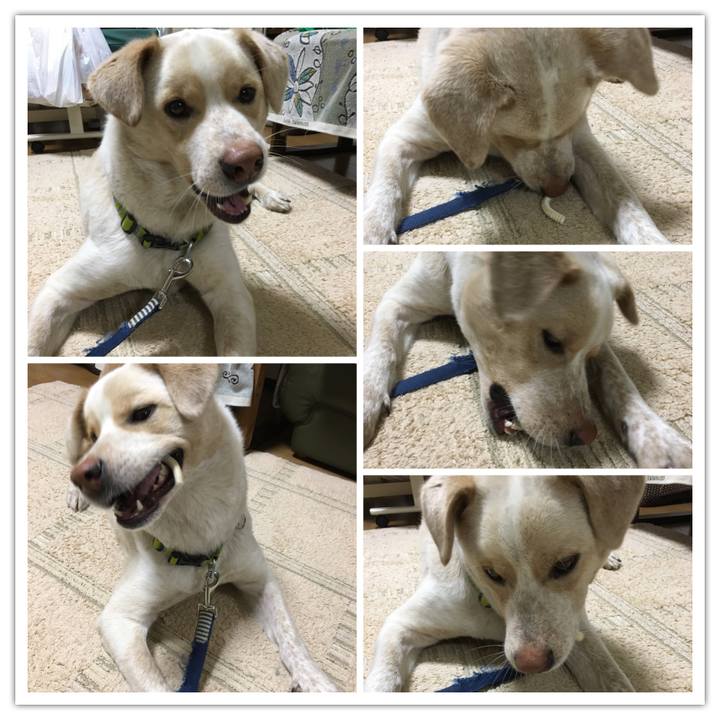 0a86c749 313a 4641 8ff4 22e4fc5be6e3