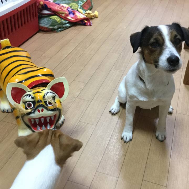 0a871c0a 4079 4bf0 818f cb1d64895e3f