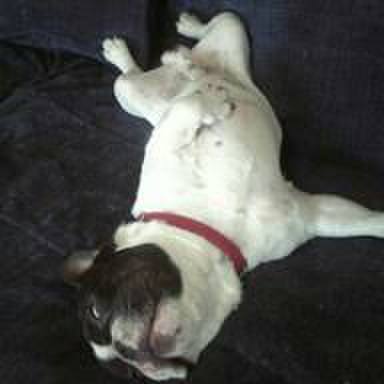 0a876433 3782 4eac aa94 8a488b1674bc