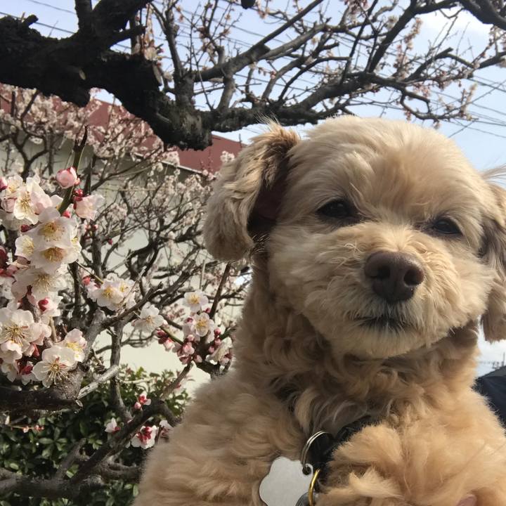 0a87affc 8647 4e2e 95a5 0d81403aa1f4