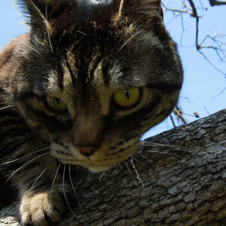 0a88c04f 4361 4bec beeb b508e97a7c57