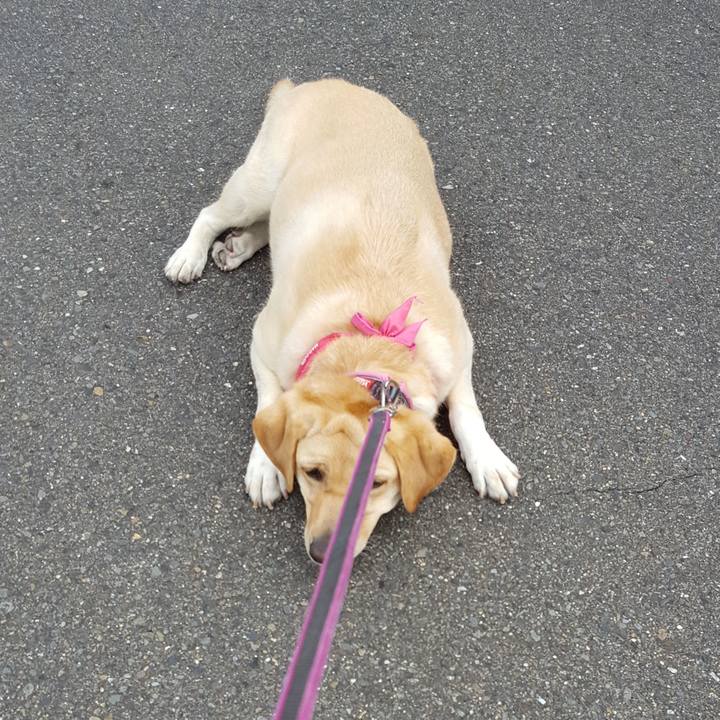 0a892e02 67ed 4a36 bc3f 2f109dd84ae6