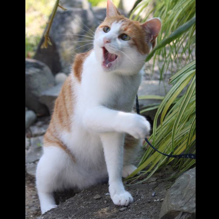 0a89813a e11a 4eb9 887b 848bf0de76af