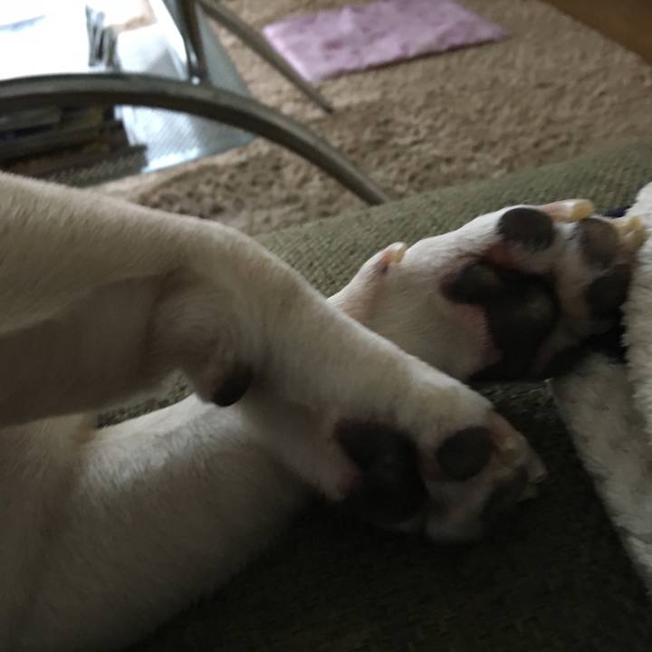 0a8a36dc 8398 4004 9a9e 951ac54a1df9