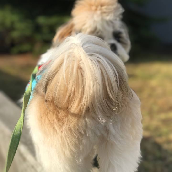 0a8a6979 8ee5 4c47 b762 62bab3eba249