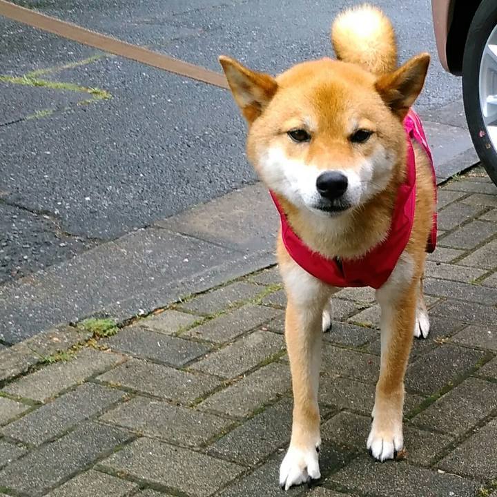 0a8a807b 5ac4 4ccb a10e d59a2d3129db