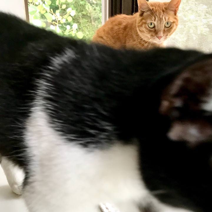 0a8a844c cb51 40be 950f cd84bce56ab1