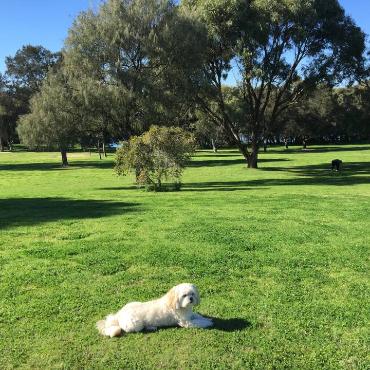 0a8ac5ef 2cfa 4f81 b472 c30c1e9233f3