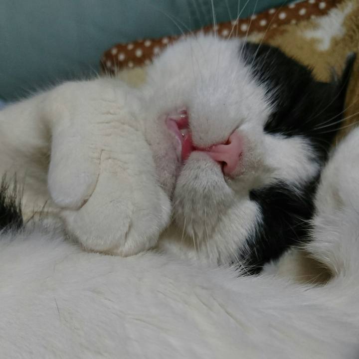 0a8b2351 336a 412a b9b6 3a7a0713c74f