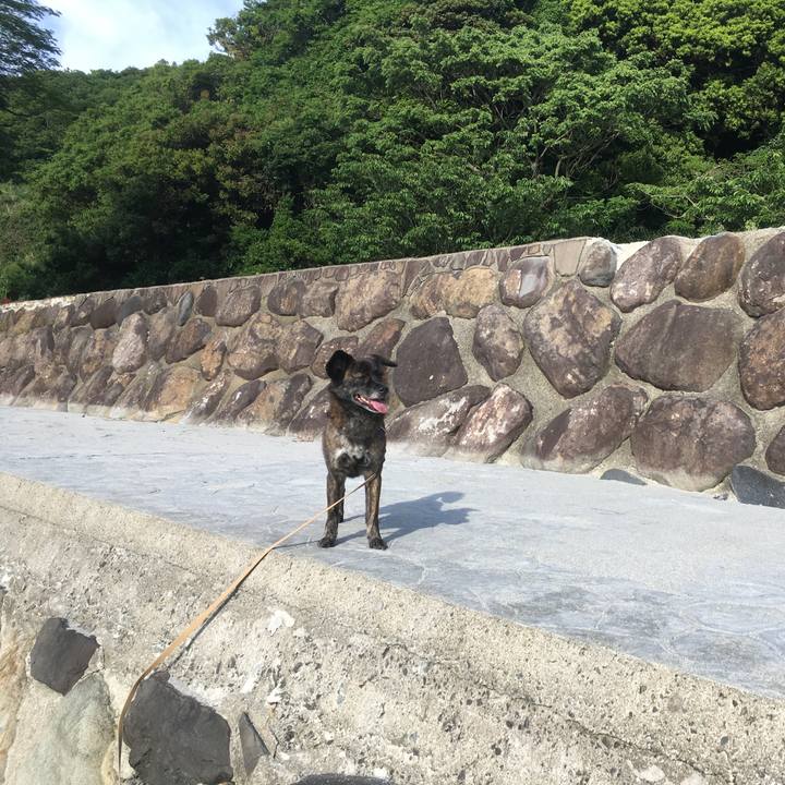 0a8b5203 ac0e 4f34 86d8 b14b07cf03f9