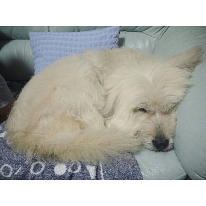 0a8c9008 01fc 4685 ac0e 4319f4c98924