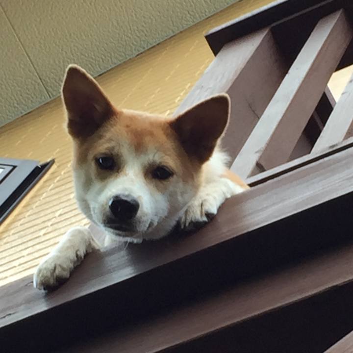 0a8cdc8c e0d8 458e bdc8 dd7bdd73cb51