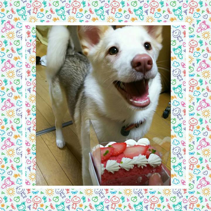 0a8e6a5f 0bf3 45dc 8d8e bafd0b270bba