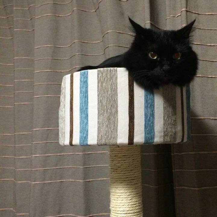 0a8ec9ce 8627 4f3f 8def 3ce225120d79