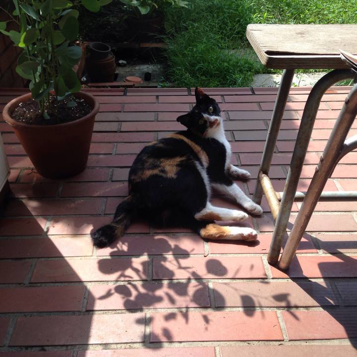 0a8f62de 273d 44a1 8888 26f17f960399