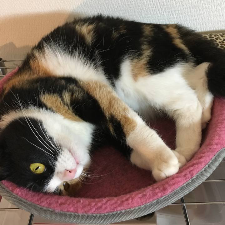 0a8fa85f 6822 4d5b 8ee5 ae70f054611e