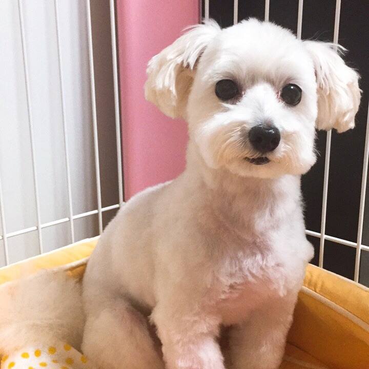 0a8fe954 5e2f 4d09 a34f 0631a343a2a4