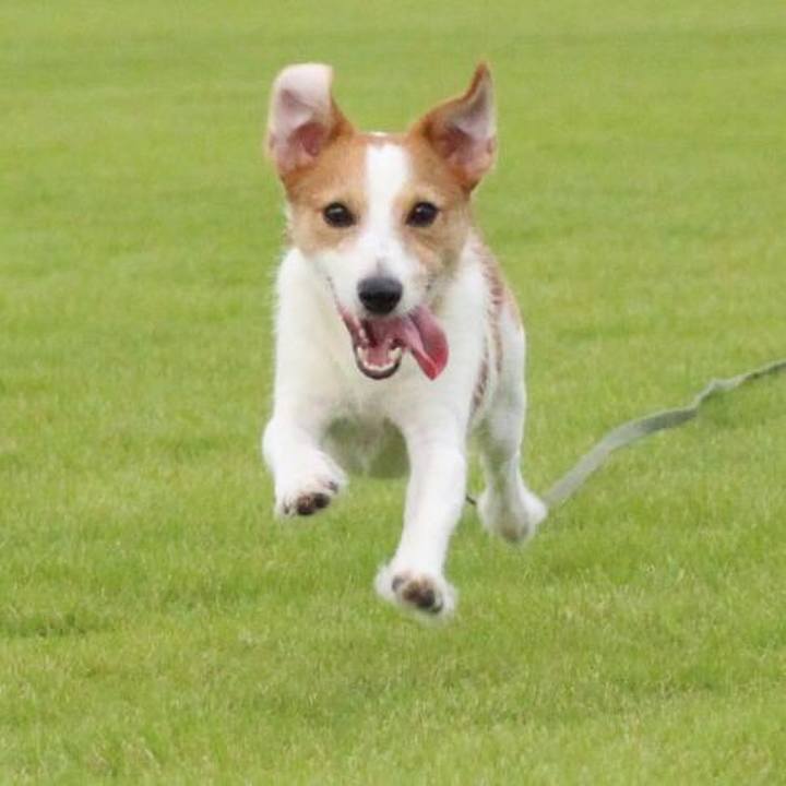 0a9002c8 acef 4b07 b3ea 9f15f714e2e9