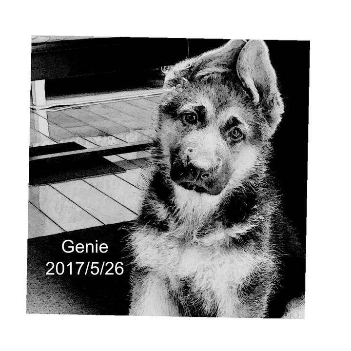 0a90772f 6aef 4fd6 ad57 b12d63697a25