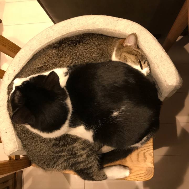 0a9094a9 87dd 44fc bbf1 8b5ae43e22fa