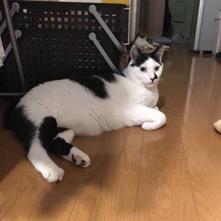 0a90c89c 8de0 459c 8267 621a829cbb76