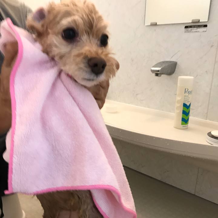 0a917b2c 95ed 4c79 a7be a8e5ddab93ce