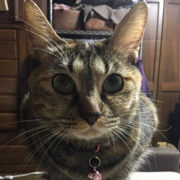 0a919049 13b5 491f a105 527724ddf940