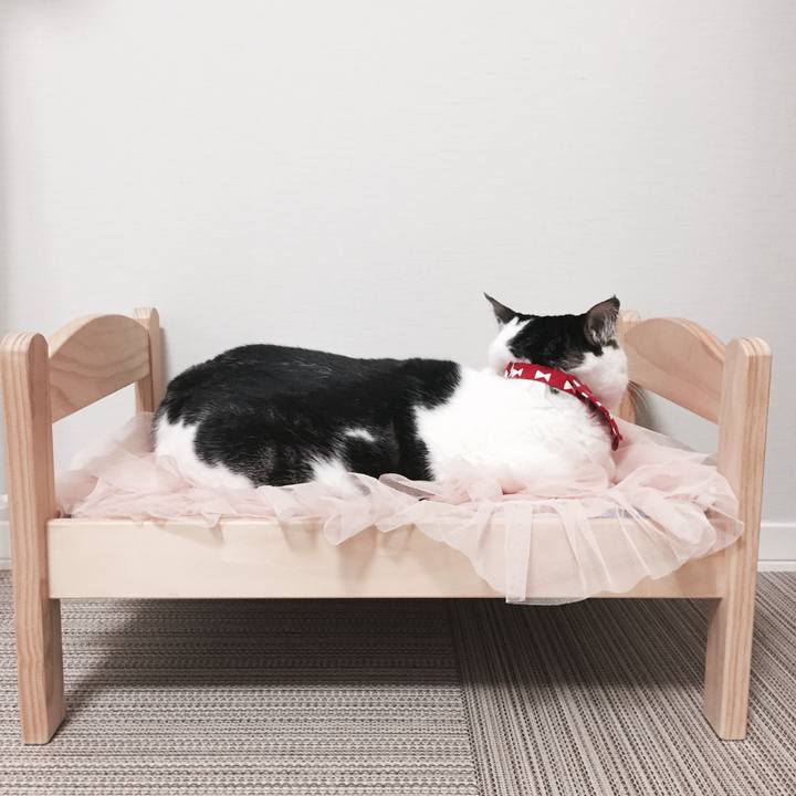 0a937b97 94cd 4285 b54d 777473a09e4c