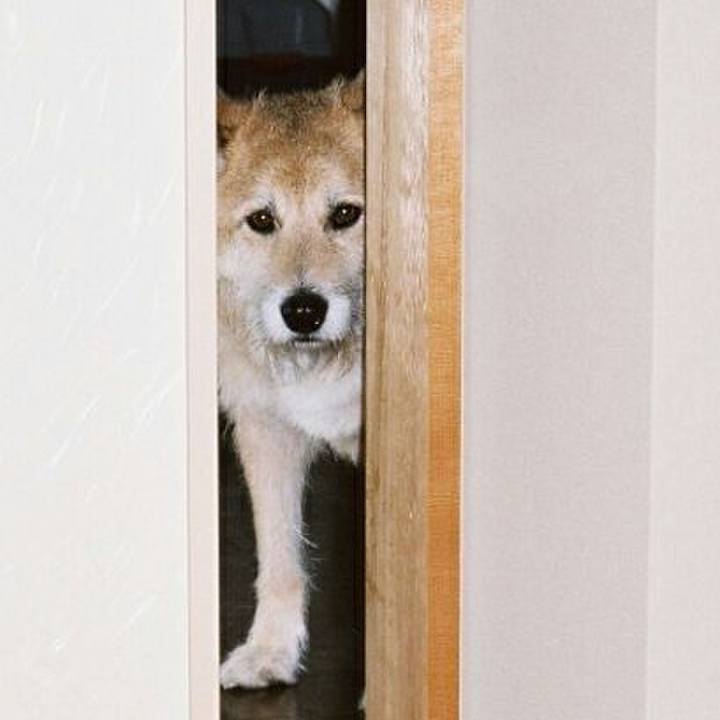 0a93d8ee b369 47b5 9b9f e586caeadac4