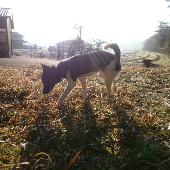 0a9421c3 1fc2 40e6 86dc d3315a2f6f5f