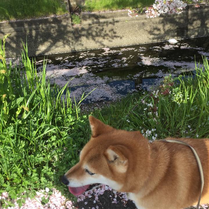 0a9461a5 6e9f 412b a64b 54924ea63fdf