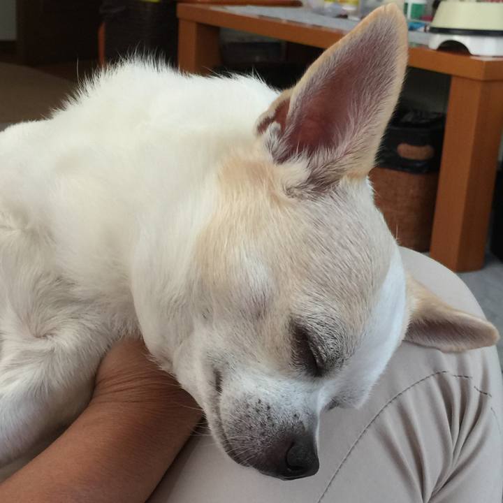 0a94f296 2349 4a70 8e7d 1d86a06da287