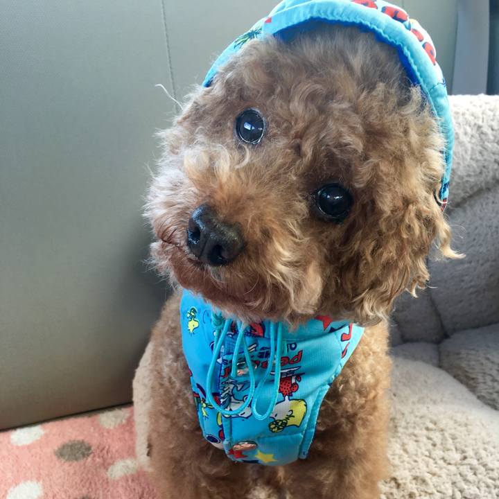 0a950bb6 d38a 4564 a602 7135df22d05b