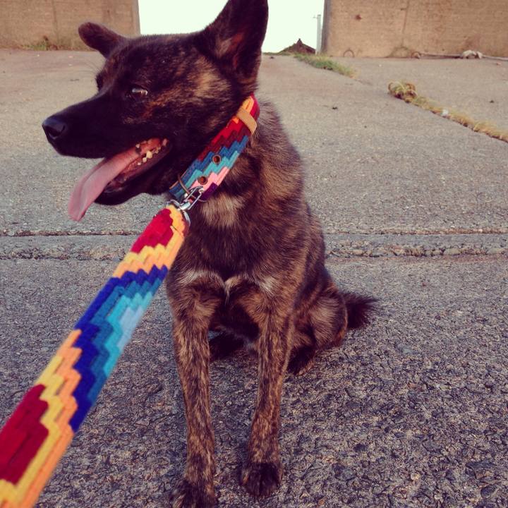 0a95a441 bd13 4ba5 8c11 fc1c7bec7289