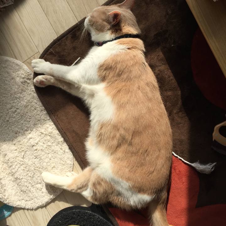 0a965732 0d76 4482 800a 30337a3f8dad