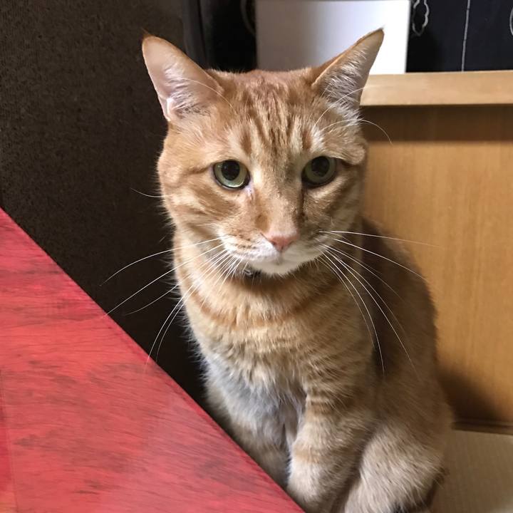 0a96733b 81de 44b4 8a5f ed65ac46c452