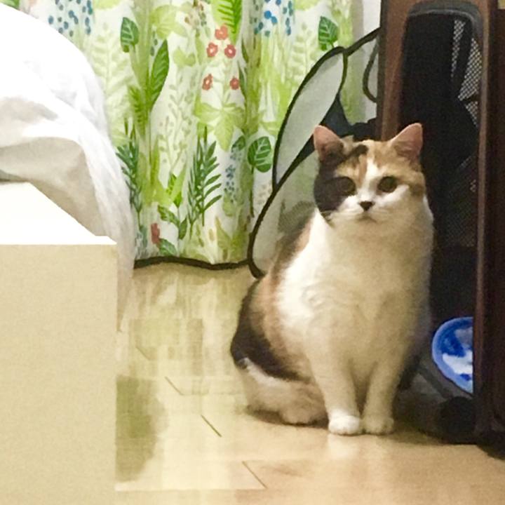 0a9737b2 bceb 4802 a25a aa5f52b5d1d4