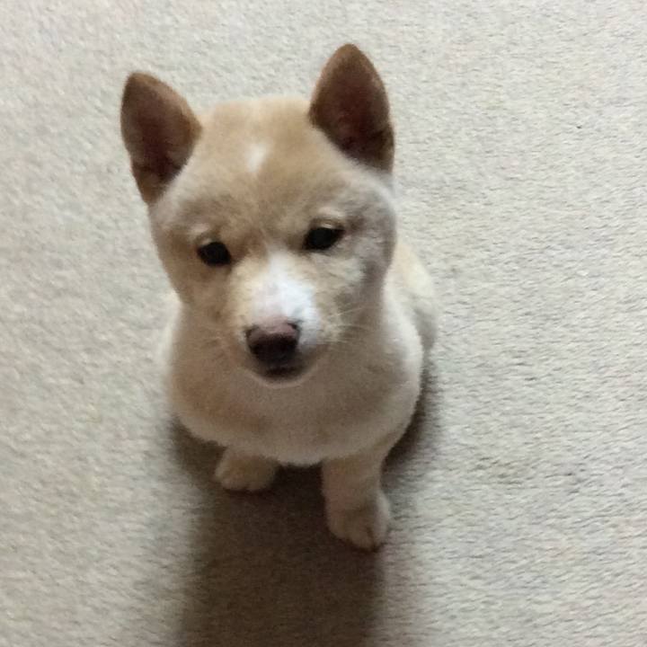 0a978930 f0dd 4d21 a4cd 1f577955c5aa