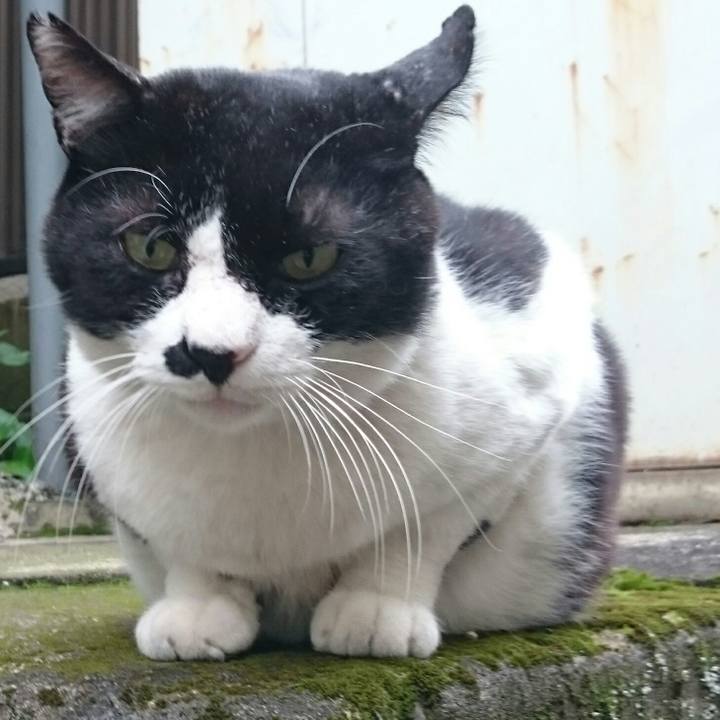 0a97f9de 5063 4099 85cd ac61766402b0