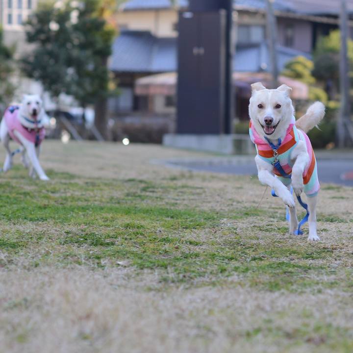 0a982092 7d8f 4ddb 9eb3 faf87729de13