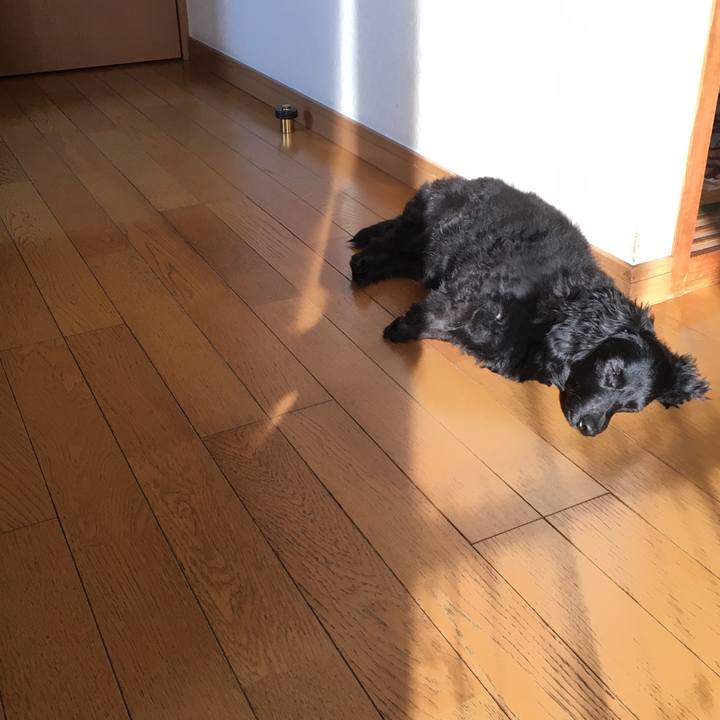 0a988829 d550 47bd ab0d adf58e040dcb