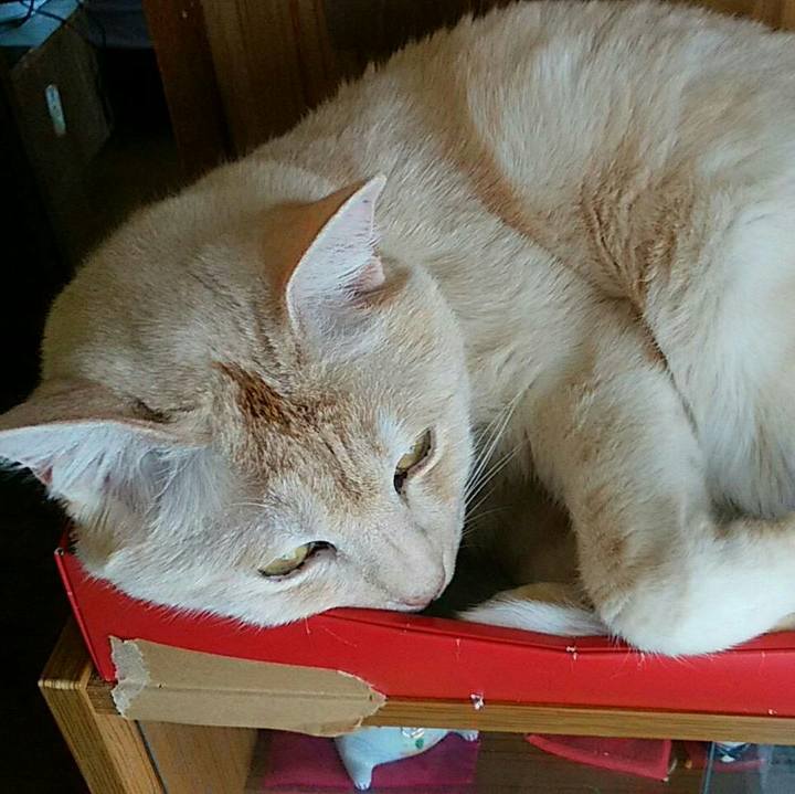 0a98bb97 d105 4882 a9cf b3b4022208ce